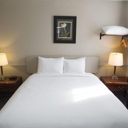 The City Motel Frédéricton Extérieur photo