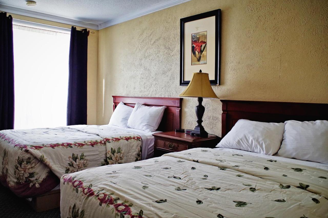 The City Motel Frédéricton Extérieur photo