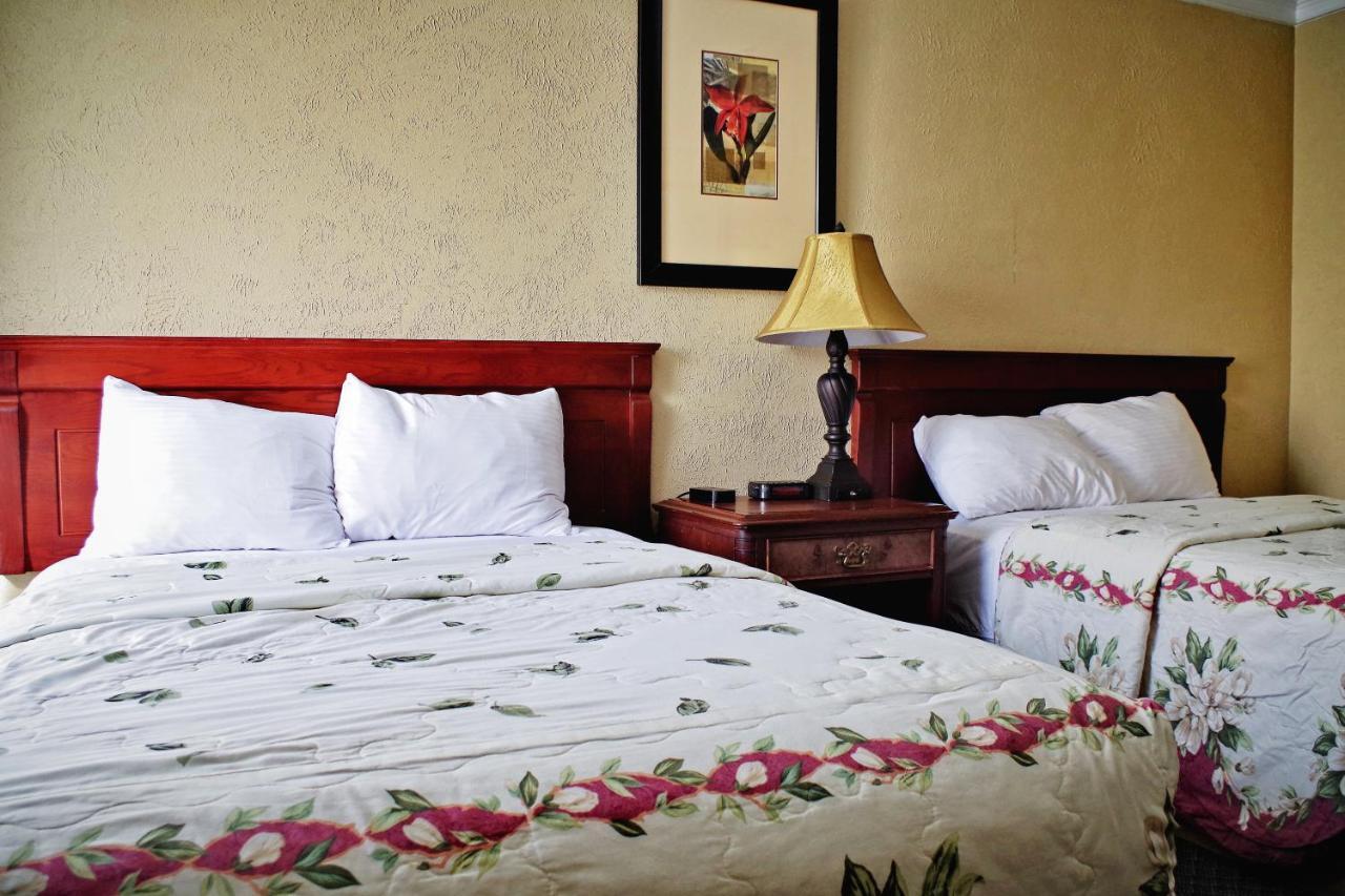 The City Motel Frédéricton Extérieur photo