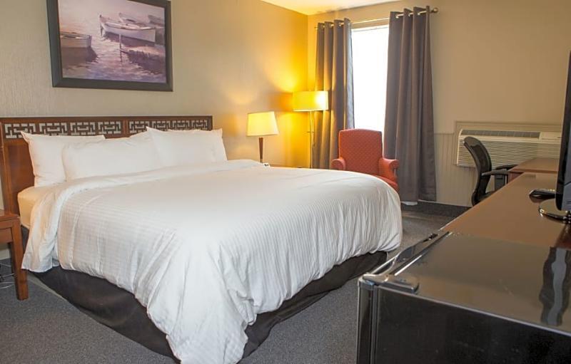 The City Motel Frédéricton Extérieur photo