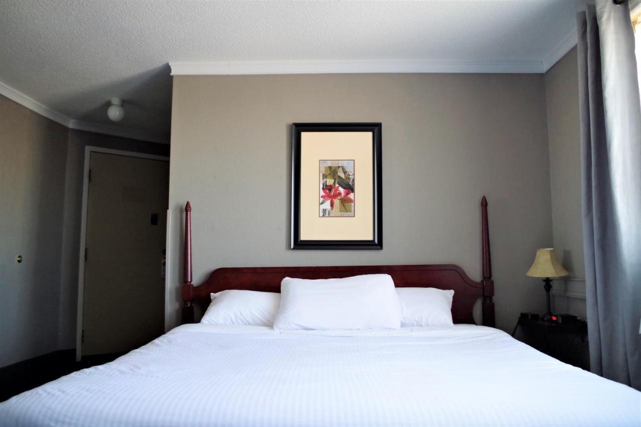 The City Motel Frédéricton Extérieur photo
